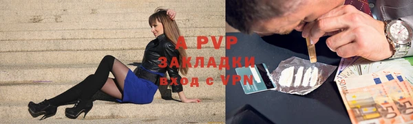 ПСИЛОЦИБИНОВЫЕ ГРИБЫ Белая Холуница